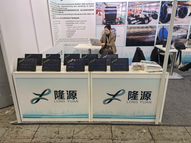 <b>上海寶馬展於今天(tiān)在上海國際博覽中心拉開帷幕!</b>
